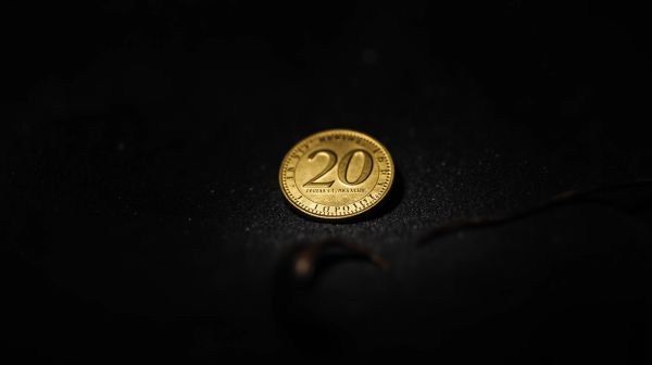 Maîtriser la valeur des 20 francs suisse or pour votre investissement
